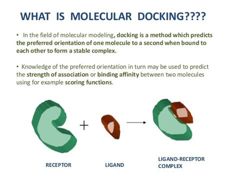 what is molecular docking